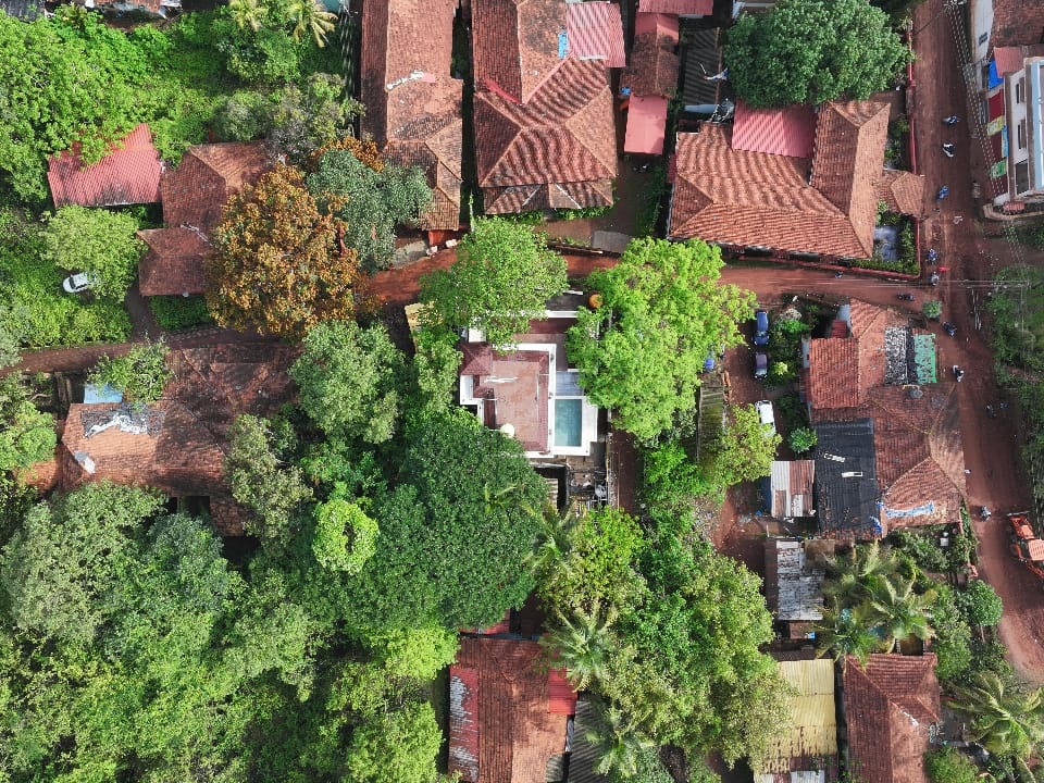 Pool and Garden Area